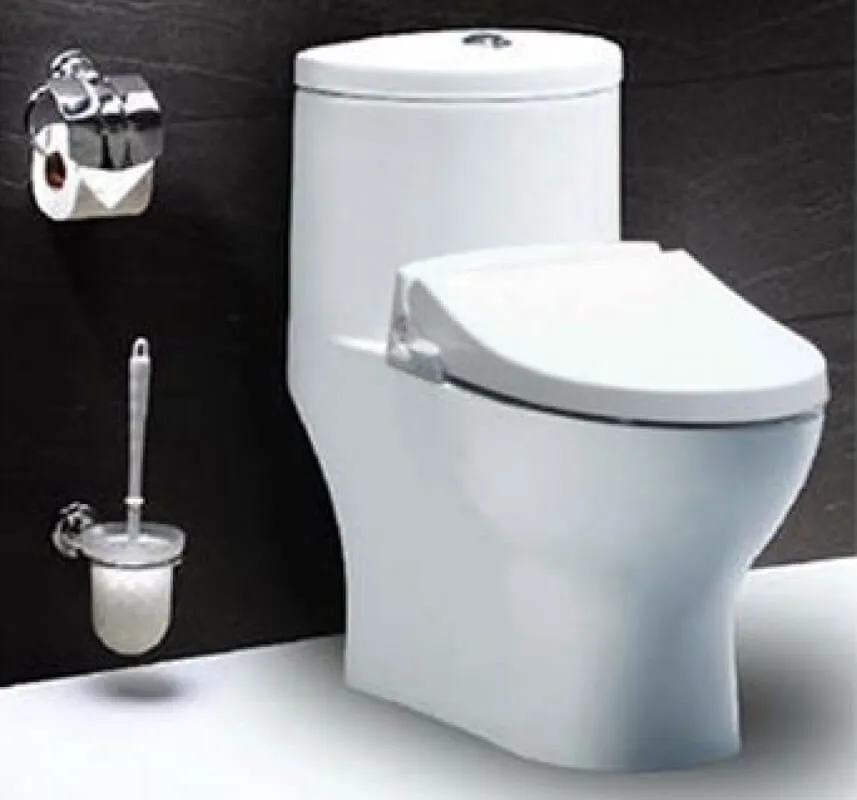 Bồn cầu 1 khối nắp rửa cơ Caesar