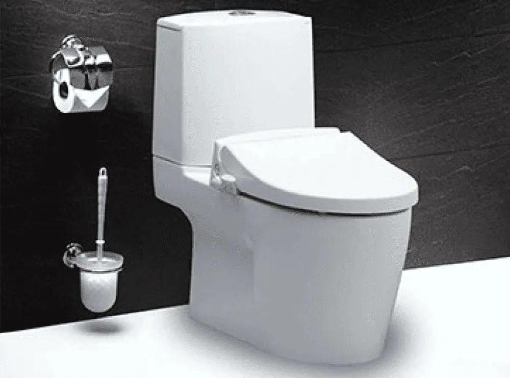 Bồn cầu 2 khối nắp rửa cơ Caesar