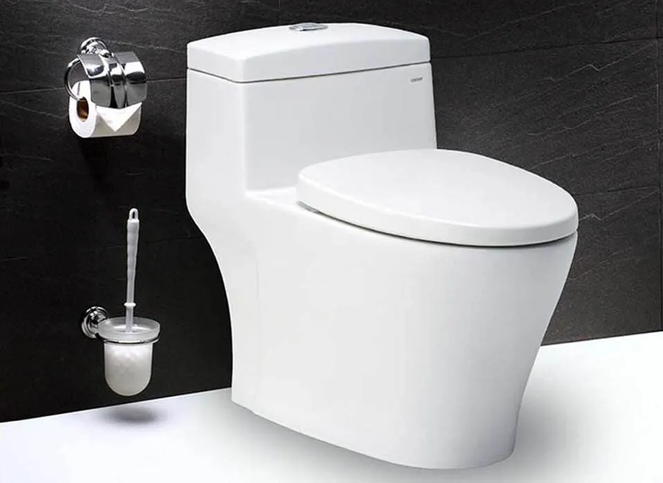 Bồn cầu Caesar 1 khối xả nhấn đôi