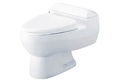 Bàn cầu 1 khối Nahm SVN2010D101N01