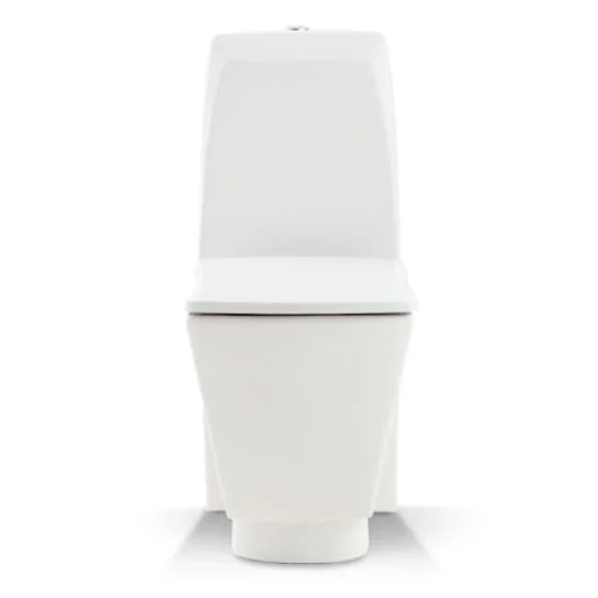 Bàn cầu 2 khối Nahm SVP2830S601N01