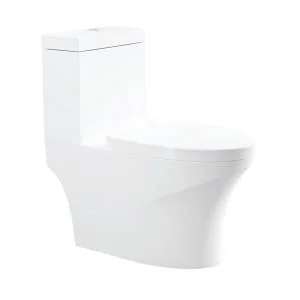 Bồn cầu 1 khối Hafele RHINE 588.84.404