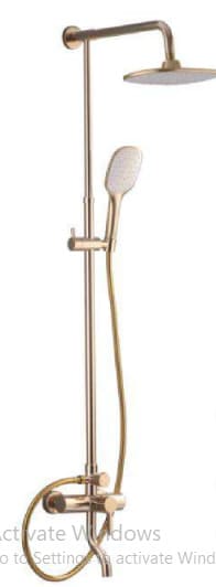 sen-tam-cay-dung-nong-lanh-ma-vang-hilux-9635