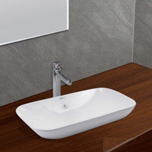 chau-rua-mat-duong-ban-da-viglacera-v28