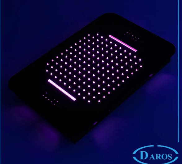 bat-sen-tam-am-tuong-daros-dr-20040