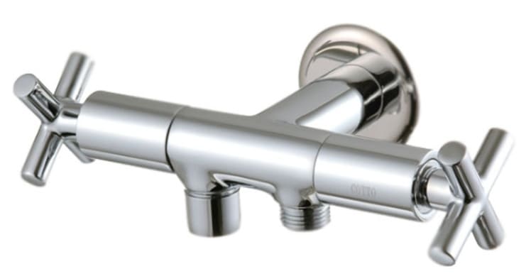 cu-sen-tam-lanh-cotto-ct172c16