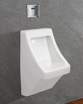 bon-tieu-nam-viglacera-t50