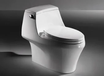 bravat-c21120xuw-3ca-eng
