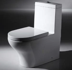 bravat-c2181uw-p-eng