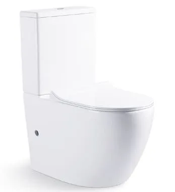 bravat-c01008xuw-pa-eng