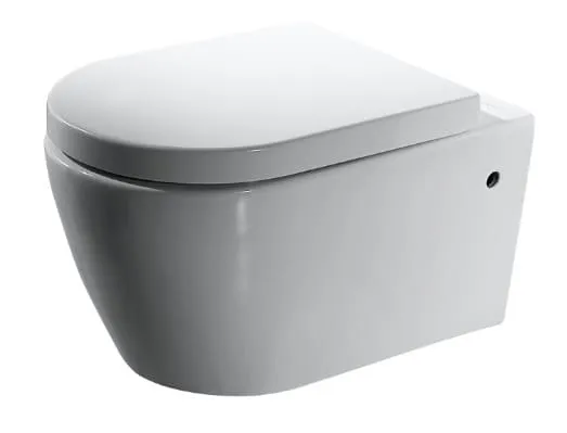 bravat-c2190uw-1-eng