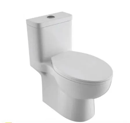 bravat-c2168xw-3-eng