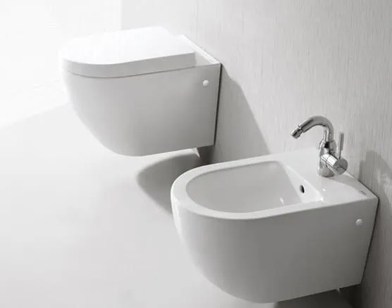 bravat-c10008w-eng
