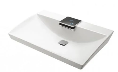 chau-rua-mat-dat-ban-da-toto-lw991a