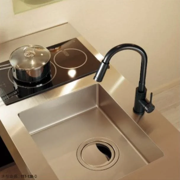 Hình ảnh thực tế vòi rửa chén Kakudai 117-138-D