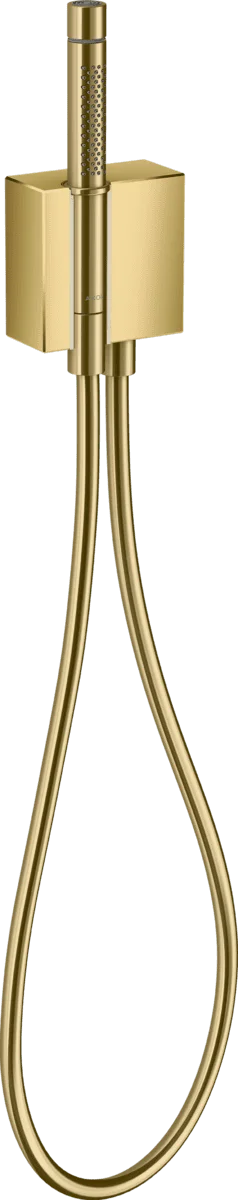 Dây bát sen Axor 46520990