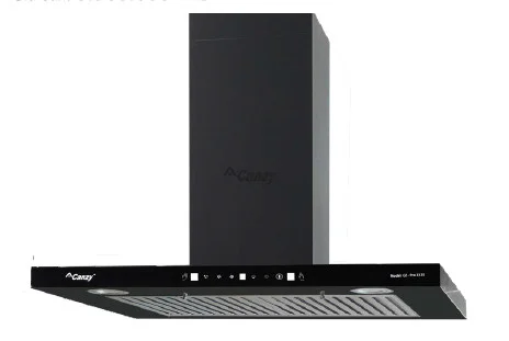 Canzy CZ Pro 333S