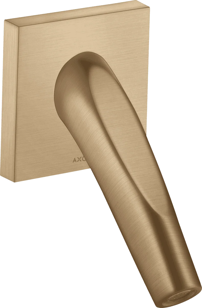 Sen bồn tắm âm tường Đức Axor 12417140