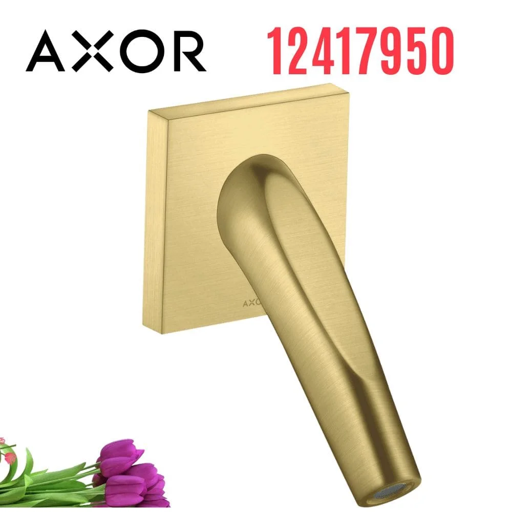 Sen bồn tắm âm tường Đức Axor 12417950
