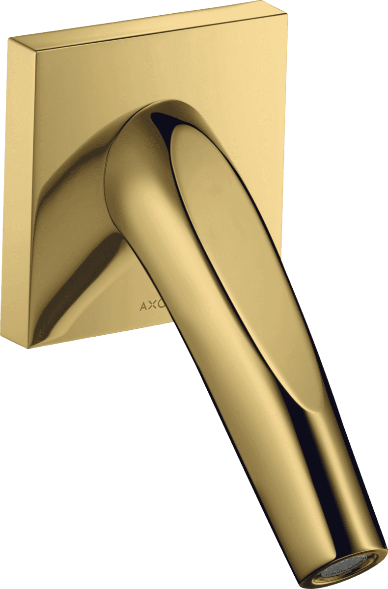 Sen bồn tắm âm tường Đức Axor 12417990