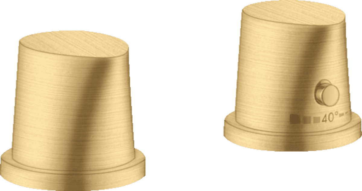 Vòi xả sen bồn tắm Axor Đức 12422250