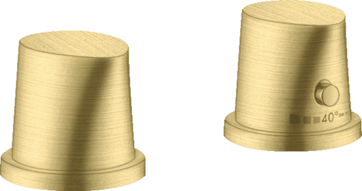 Vòi xả sen bồn tắm Axor Đức 12422950