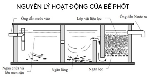 Quy trình hoạt động của bê phốt Đại Thành 2200l ngang