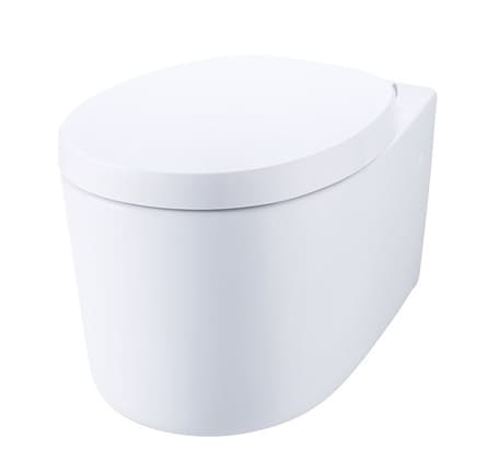 Bàn cầu treo tường COTTO C19667