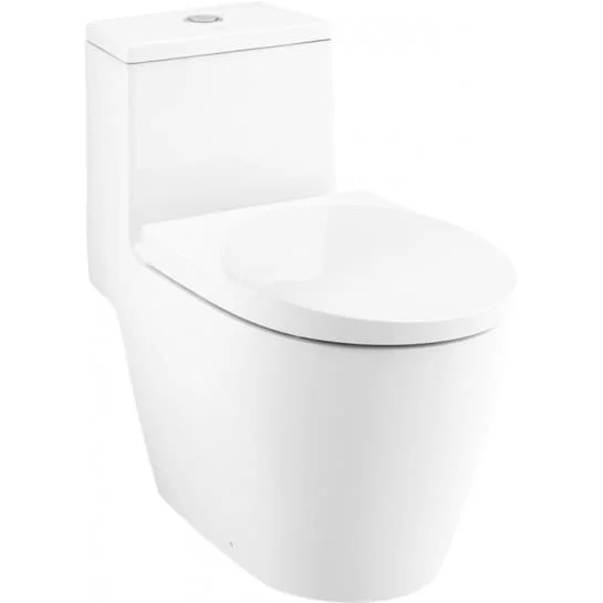 Bàn Cầu 1 Khối COTTO C100207