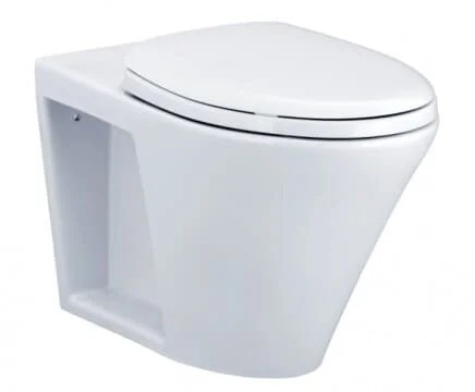 Bàn cầu treo tường dùng van xả trực tiếp COTTO C1322BI