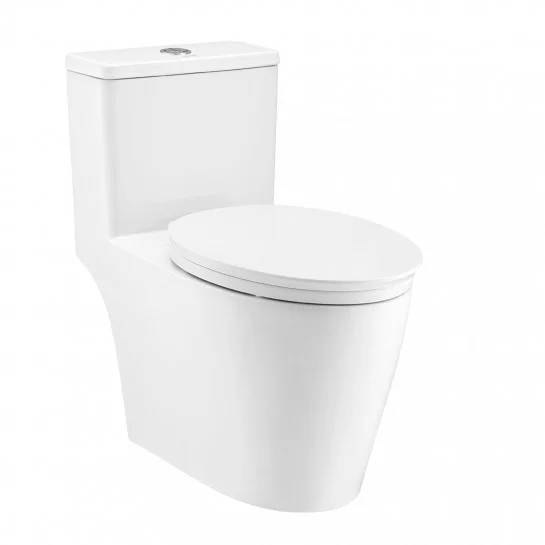 Bàn Cầu 1 Khối Nắp Êm COTTO C110507 Harmony