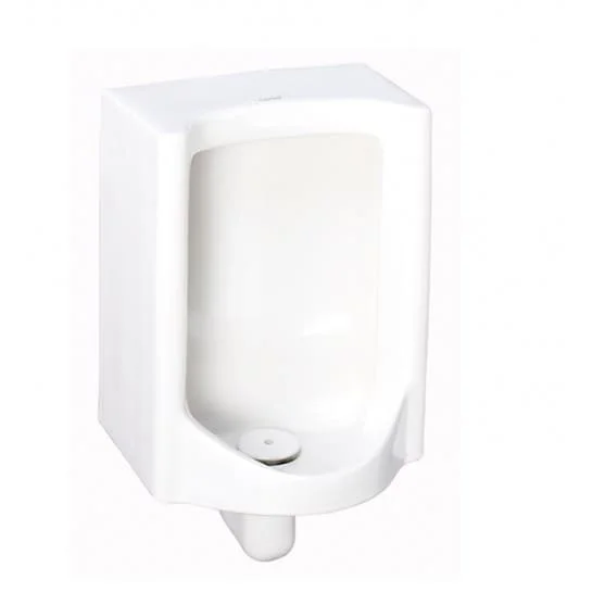 Bồn Tiểu Nam Treo Tường COTTO C313BI