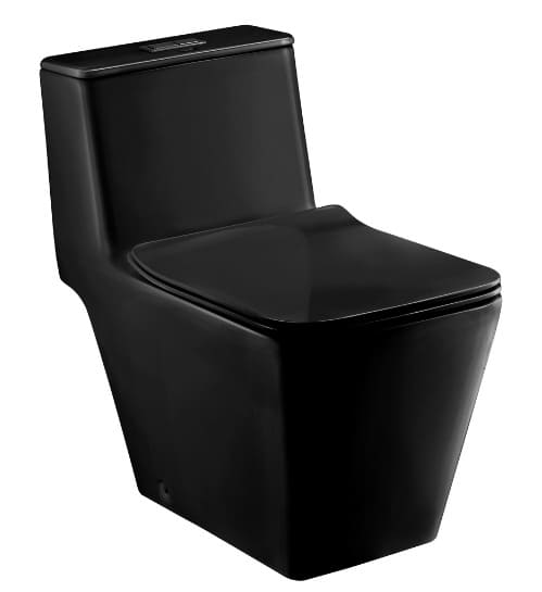 Bàn Cầu 1 Khối COTTO C10323 MBK