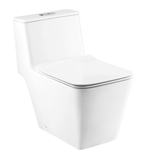 Bàn Cầu 1 Khối COTTO C103237