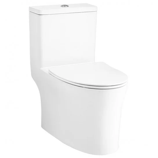 Bàn Cầu 1 Khối COTTO C105607(CN5)