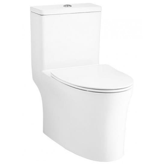 Bàn Cầu 1 Khối COTTO C105617