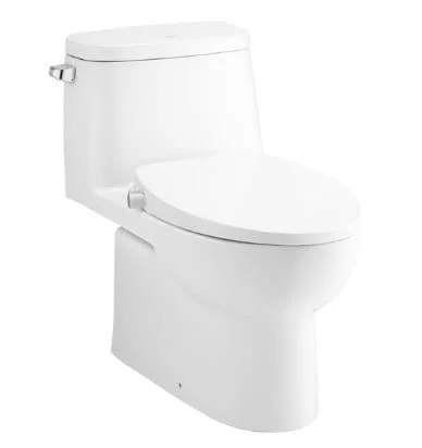 Bàn Cầu 1 Khối Nắp Rửa Cơ COTTO C1142(CN4)