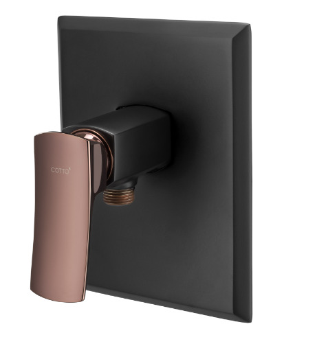 Mặt nạ sen tắm âm tường COTTO CT1224A#BLBR