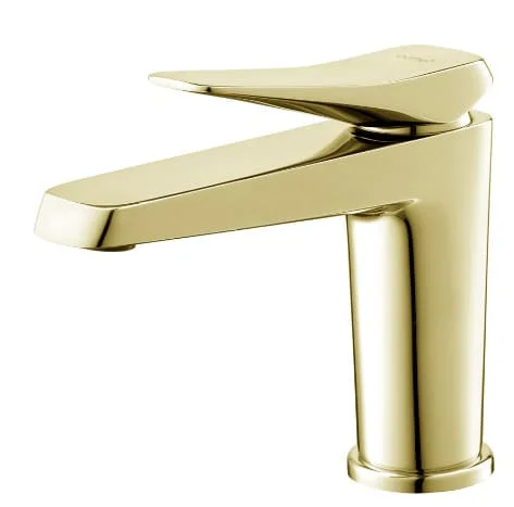 Vòi rửa mặt lavabo lạnh COTTO CT1241A#GR2