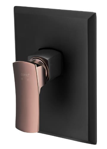 Mặt nạ sen tắm âm tường COTTO CT2256A#BLBR