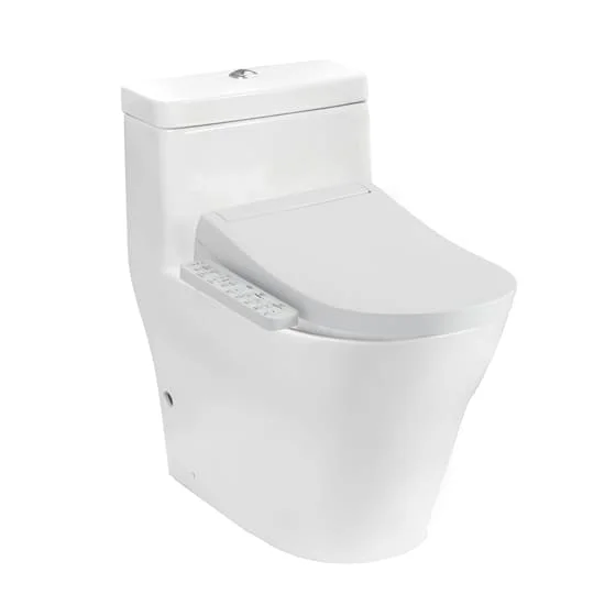 Bồn cầu 1 khối nắp điện tử TOTO CW166RB#XW TCF33320GAA#NW1 T53P100VR