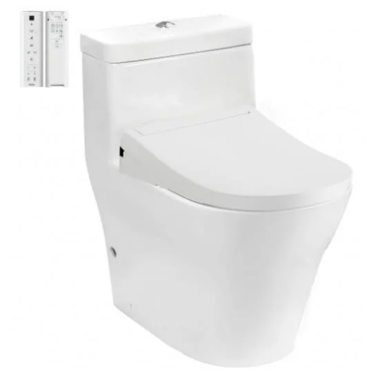 Bồn cầu 1 khối nắp điện tử TOTO CW166RB#XW TCF34320GAA#NW1 T53P100VR