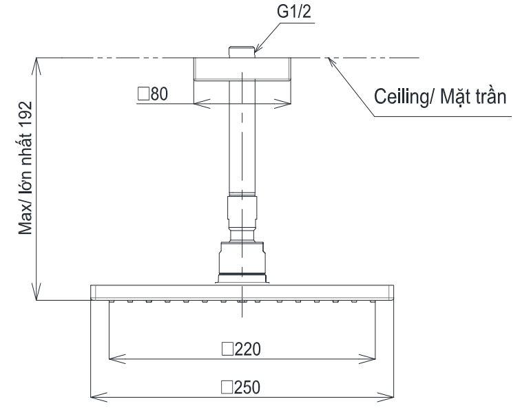 Bản vẽ Bát sen gắn trần TOTO TBW08002A1