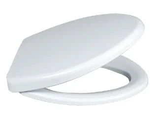 Nắp bồn cầu thường Caesar M220