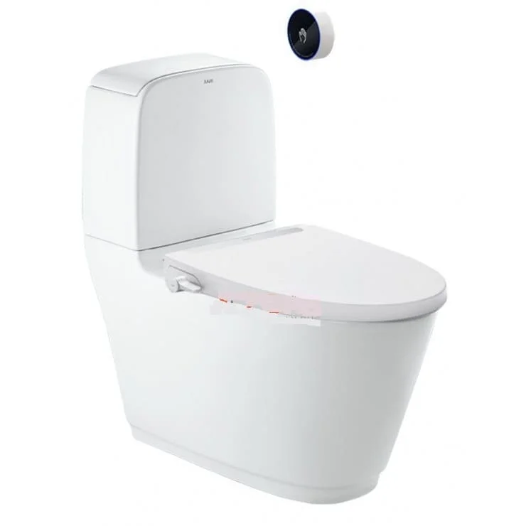 Bồn cầu 2 khối Inax AC-832+CW-S32