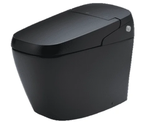 Bồn cầu điện tử thông minh Inax AC-G216VN/BKG ​​​​​​​