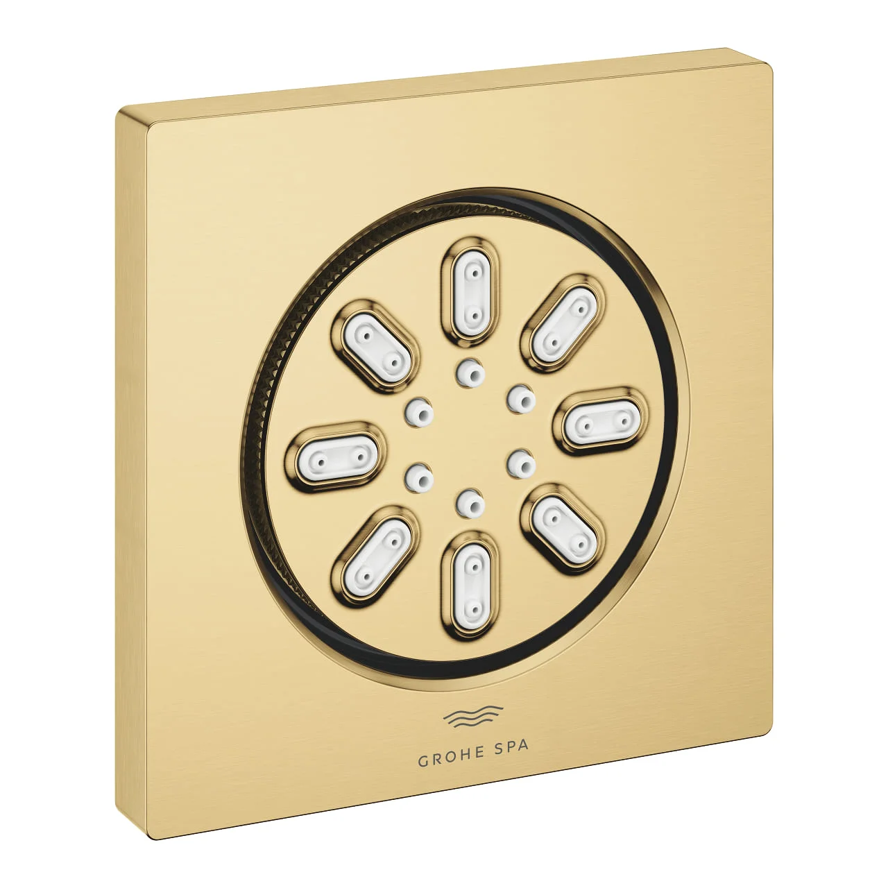 Bát Sen Tắm Gắn Trần Đức Grohe 26802GN0