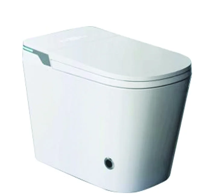 Bồn cầu thông minh có kết nước Royal RA-M6