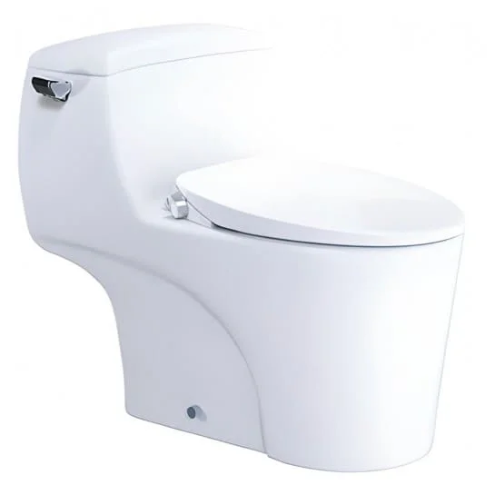 Bồn cầu 1 khối nắp rửa cơ Caesar C1353/TAF060