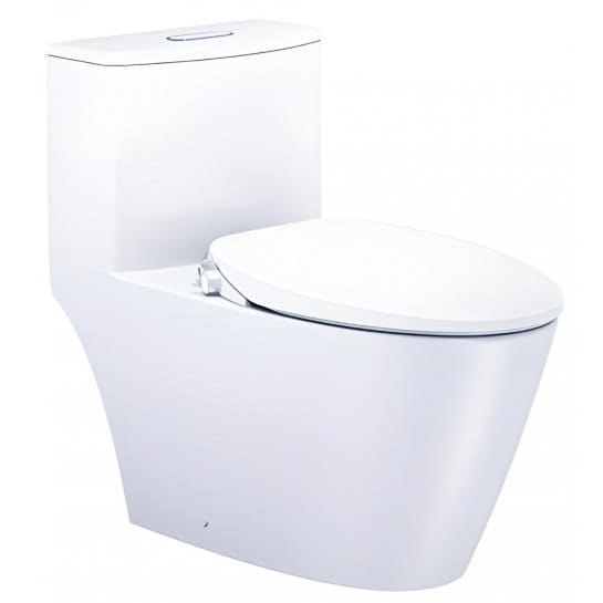 Bồn cầu 1 khối nắp rửa cơ Caesar CD1363/TAF060